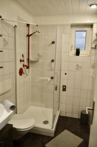 a white bathroom with a shower and a toilet at Ferienwohnung an der Örtze in Müden