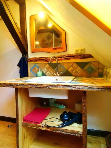 a bathroom counter with a sink and a mirror at Der Eulenblick - Seminarhaus, Ferienhaus, Gästehaus, Reitstation, Am Waldrand in Tewswoos