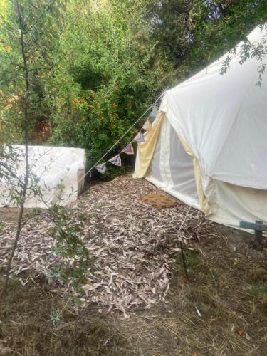 Κήπος έξω από το Finca Fahala