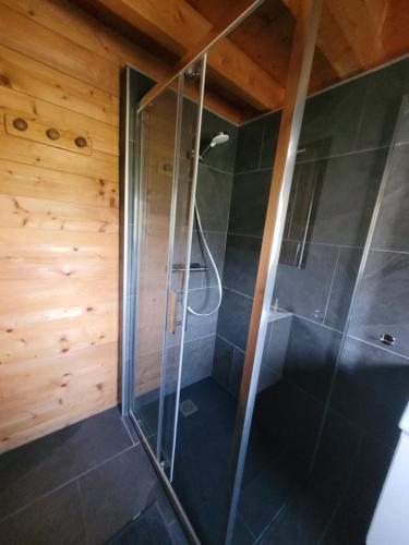 Chalet Chez Marius في لابريس: حمام مزود بباب زجاجي في غرفة