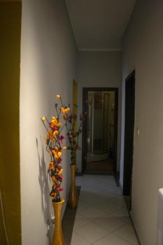 Imagen de la galería de The Centerpiece Rooms in Prishtina, en Pristina
