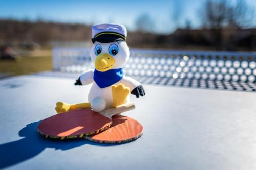 a toy penguin is sitting on a tennis racket at LAGOVIDA Dünenhaus Comfort Familia j am Störmthaler See in Großpösna