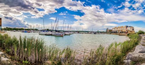 a river with boats docked in a harbor at LAGOVIDA Dünenhaus Comfort Familia j am Störmthaler See in Großpösna