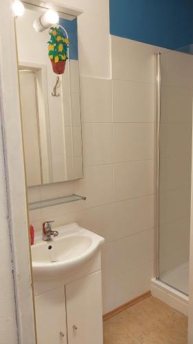 1 Zimmer Wohnung mit Balkon