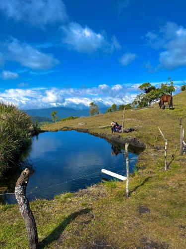 a body of water with a horse in a field at Sítio das montanhas in Cunha