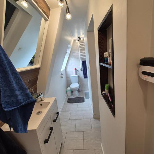 a bathroom with a sink and a toilet in it at Sowi Przystanek in Pieszyce