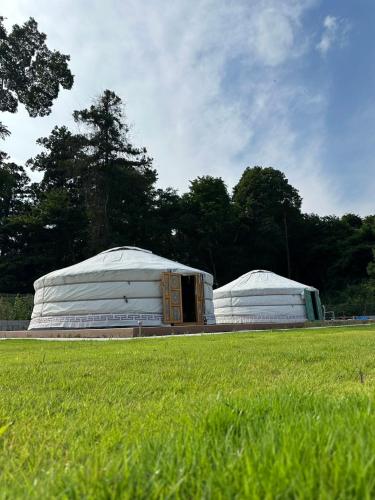 two domes in a field next to a field of grass at モンゴリアンテーマパークジャパン in Kamigō