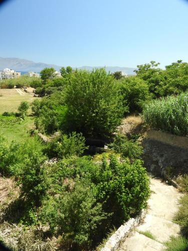 a garden with bushes and trees in a field at Bikakis Family Apartments in Kissamos