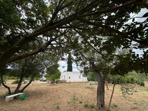 a white building with a tower in a field with trees at La casa nel verde klimt in Supersano