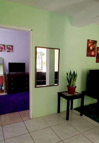 a room with a mirror and a table with a potted plant at KG Apartments in Roseau