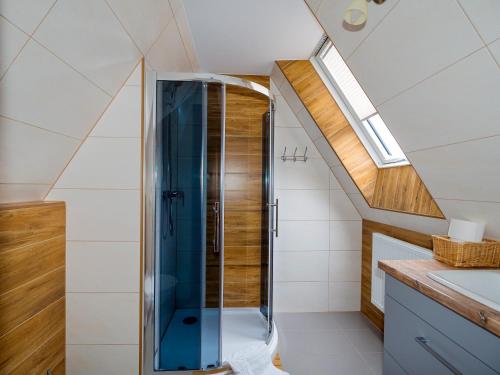 a bathroom with a shower and a skylight at U Kasi in Male Ciche