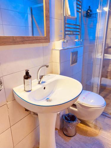 a bathroom with a sink and a toilet at Odunpazarı Paşa Konak Hotel in Eskisehir