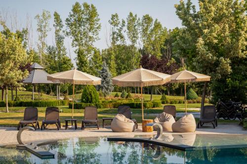 a swimming pool with swan chairs and umbrellas at Boutique Complex Trakiets in Zhitnitsa