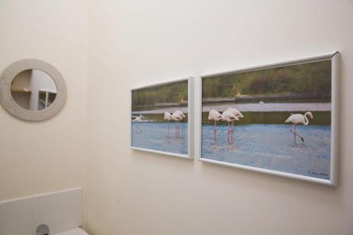 a group of three framed photographs of flamingos on a wall at Le Pénity, studio lumineux à Carnoët in Carnoët