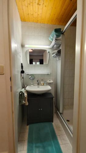 Un baño de Dirnbergerhof