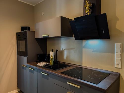 a kitchen with a stove and a refrigerator at Golden Suites Weimar in Weimar