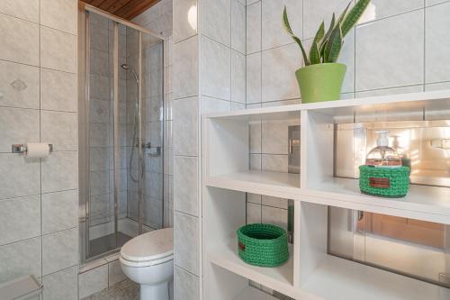 a bathroom with a toilet and a shower at Vineyard cottage Kolpa Zupančič in Stari Trg ob Kolpi