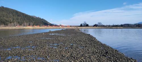 a body of water with a rocky shore with trees at apartmány v súkromí bešenová in Liptovský Michal