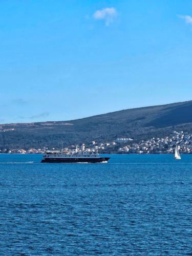 Gambar di galeri bagi Vile MonteMar di Herceg-Novi