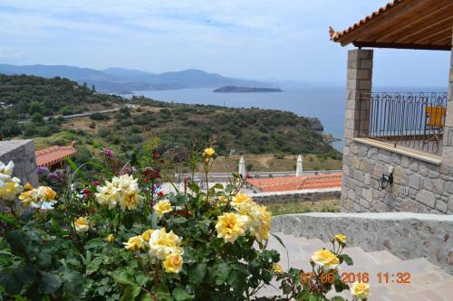 a view of the ocean from a house with flowers at Villa Molivos Castle in Mithymna