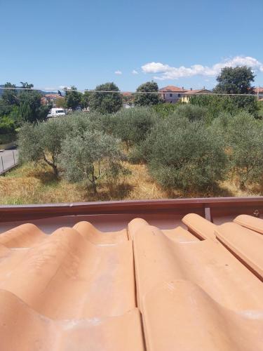 a view of a field from a train window at Villa Ornella in Luni