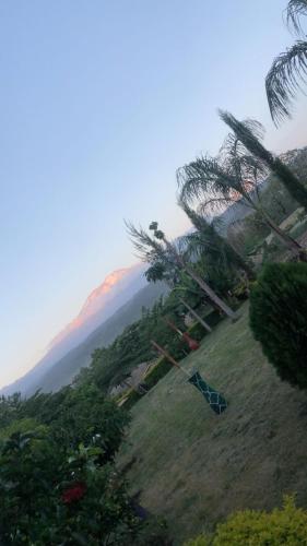 Blick auf einen Hügel mit Palmen und einen Berg in der Unterkunft Amani home in Nkunjila