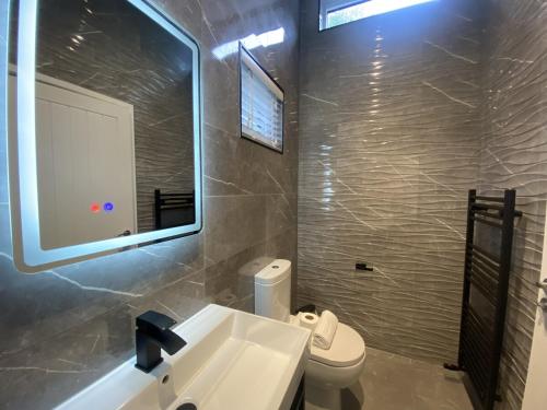a bathroom with a sink and a toilet and a mirror at V29 - Rivers Retreat in Bethesda