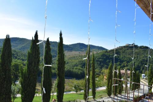 a group of cypress trees with a view of a mountain at Agriturismo Monastero Di San Biagio in Nocera Umbra