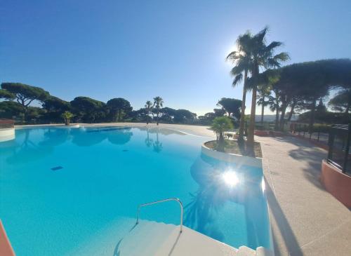 une grande piscine bordée de palmiers et une plage dans l'établissement GASMIM29 - Golfe de St-Tropez, chalet climatisé dans domaine arboré, à Gassin