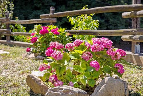 a bush of pink flowers in a garden at La Casa Sul Lago in Osiglia