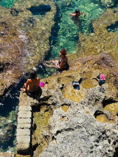 un gruppo di persone sedute in acqua di B&B Trande a Santa Maria di Leuca a Leuca