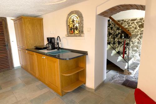 a kitchen with a counter top in a room at Vineyard cottage Rustika in Novo Mesto