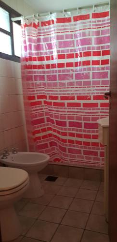 a bathroom with a toilet and a red brick shower curtain at La Estacion Hostel in Lago Puelo