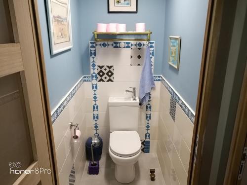 a small bathroom with a toilet and blue walls at la cassignolette in Castelnaudary