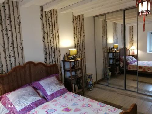 a bedroom with a bed and a mirror at la cassignolette in Castelnaudary