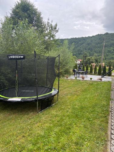a trampoline in the grass in a yard at Domek nad Dunajcem in Krościenko