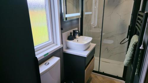 Un baño con lavabo y ducha de cristal. en Daverneithon 3, en Rhayader