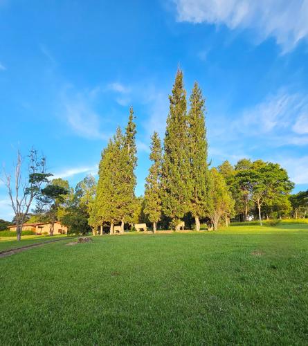 three trees in a green field with a blue sky at Siloe Hotel by Concavus in Vinhedo