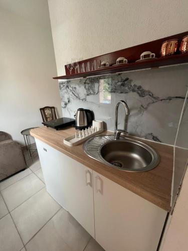 a kitchen with a sink and a counter top at Apartments Lav Costas in Herceg-Novi