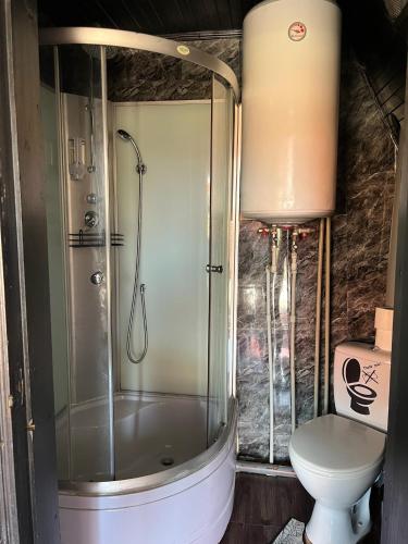 a bathroom with a shower and a toilet at Дача Фонтанка in Fontanka