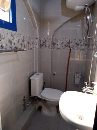 a bathroom with a toilet and a sink at Bakar Nubian Guest House in Aswan