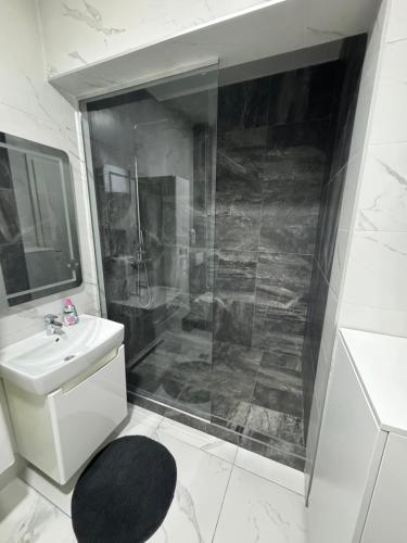 a bathroom with a shower and a sink and a toilet at APARTMANI Bulevar in Sarajevo