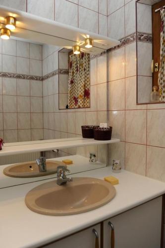 une salle de bain avec un lavabo et un miroir dans l'établissement Les colchiques, à Racines