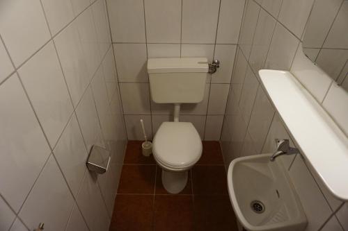 a small bathroom with a toilet and a sink at Ferienhaus Bergland in Flachau