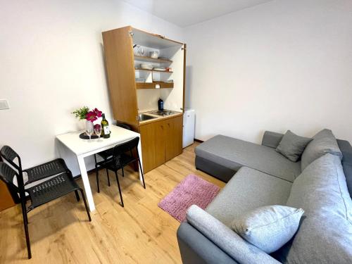 Apartment in Dramalj 42941