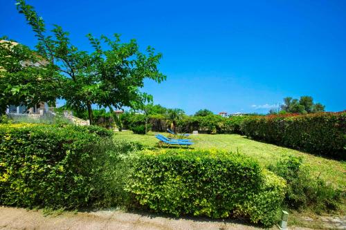 Gallery image of Summer Houses in Afytos in Afitos
