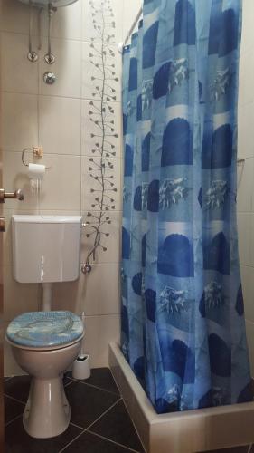 a bathroom with a toilet and a blue shower curtain at Gloria Apartments in Herceg-Novi