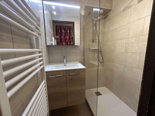 une salle de bain avec un lavabo et une douche dans l'établissement Chaleureux 2 pièces avec terrasse - 4 pers, Animaux admis - FR-1-594-146, à Hauteluce