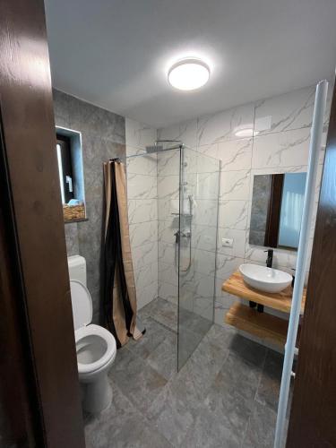 a bathroom with a toilet and a sink and a shower at Hillside Chalet in Buzoel