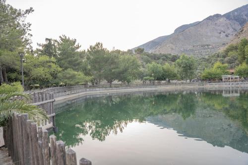 a pond of water with trees and mountains in the background at F & A Family Home in Zarós